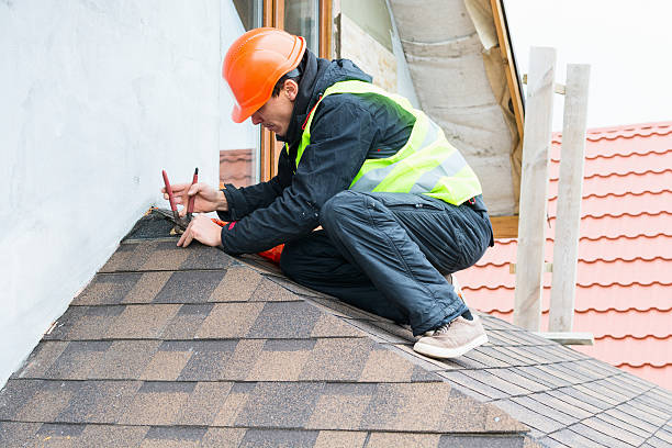 Best Roof Gutter Cleaning  in Tenafly, NJ
